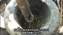 茶色の作務衣の染料となる黒檀の実をすりつぶす